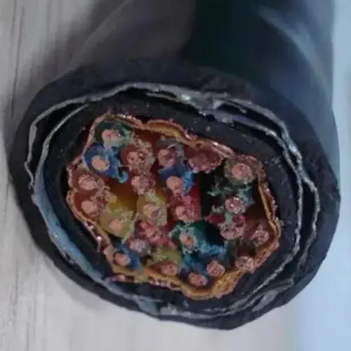 Multi-core PEEK Jacket cable