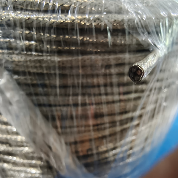 2MMSQ 6C PEEK Cable - CITCable
