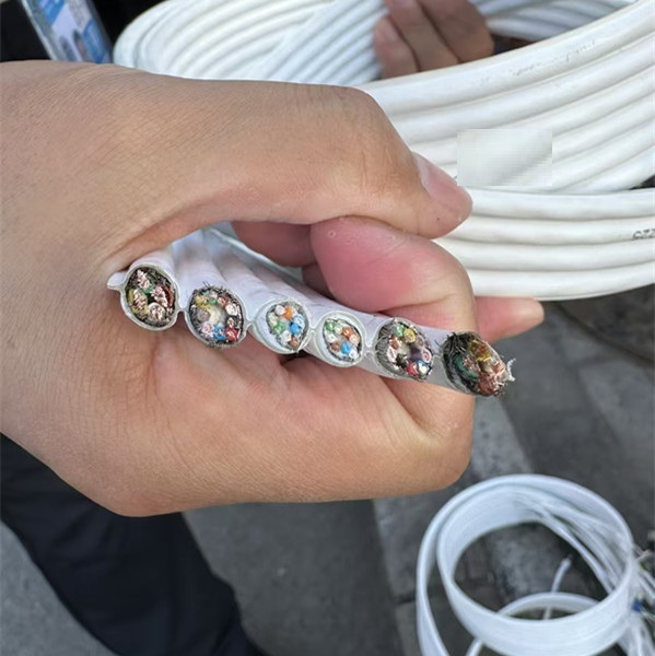 Ultra Flex Life Flat Ptfe Cable - CITCable
